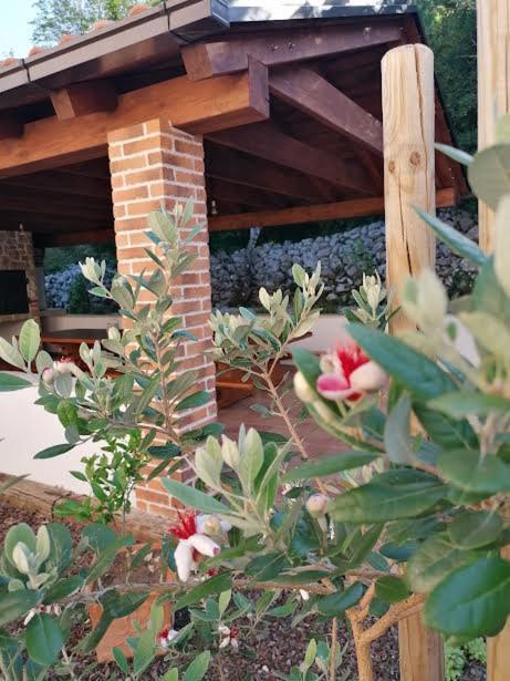 Amazing 4 Bedroom Villa With Swimming Pool And Wifi, Family Frendly Tribalj  Ngoại thất bức ảnh